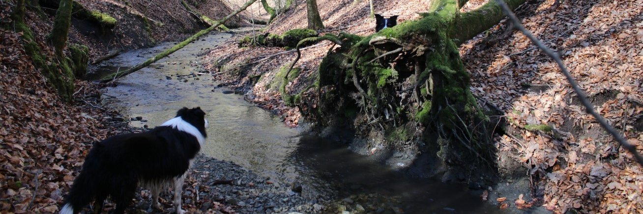 Discovering the frontline and beyond. banner