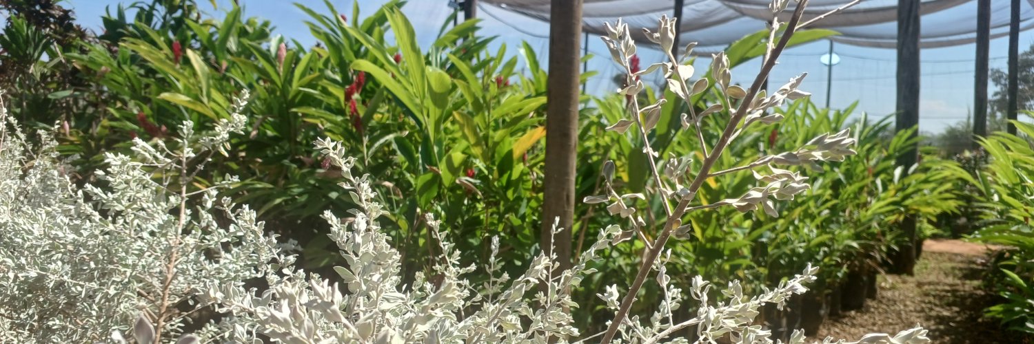 erickmarujo's profile banner image