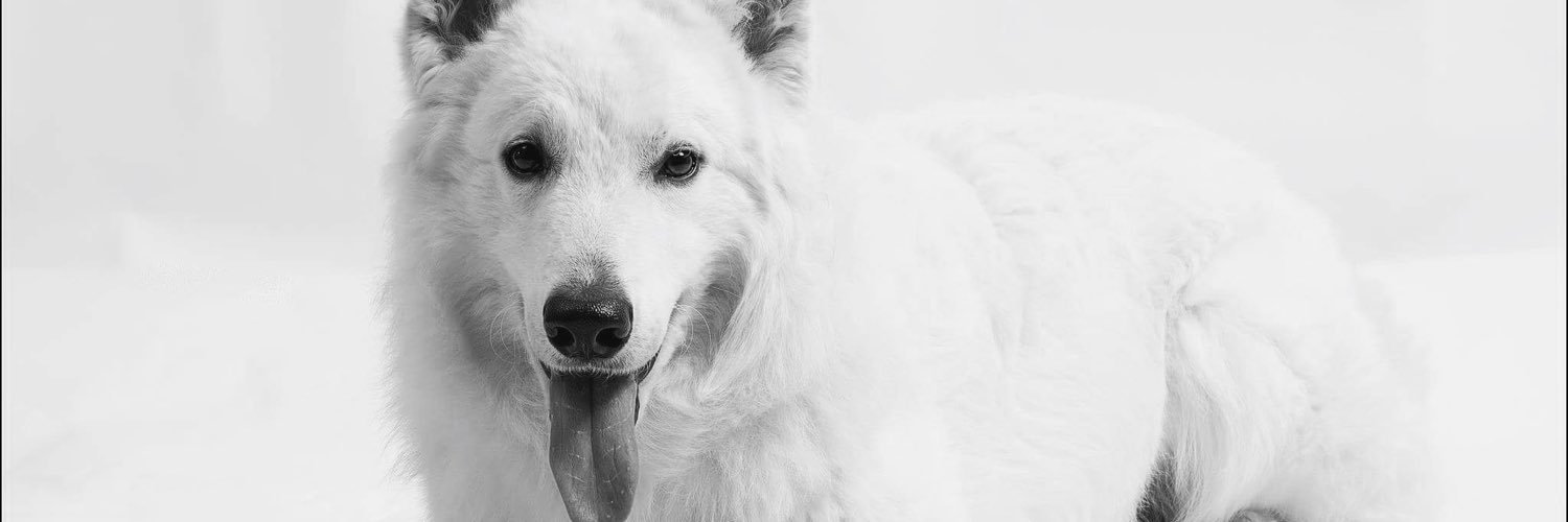 SvenjaMing's profile banner image