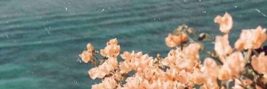 _LourdesCampos_'s profile banner image