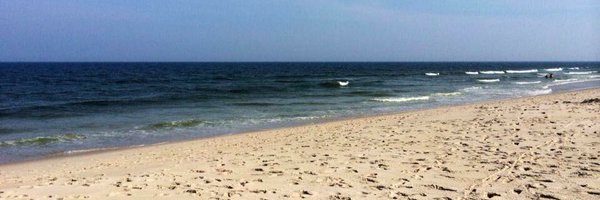 TAPStaffordLBI Profile Banner