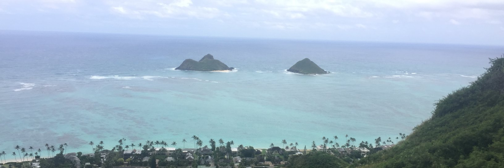 DangMCD's profile banner image