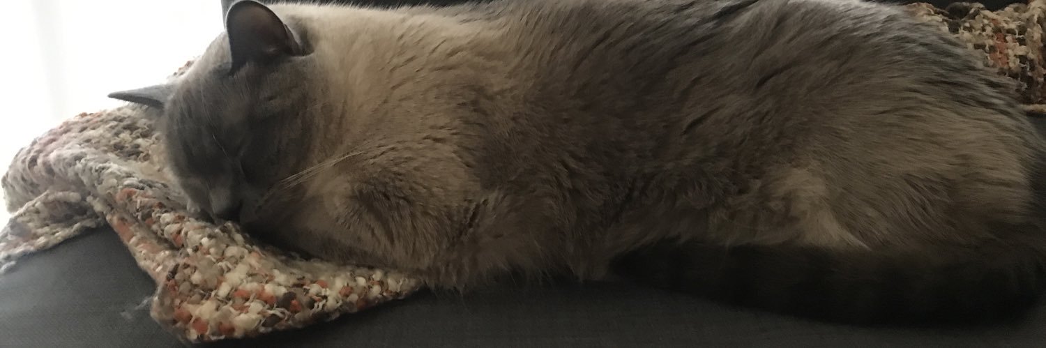 kacyevans's profile banner image