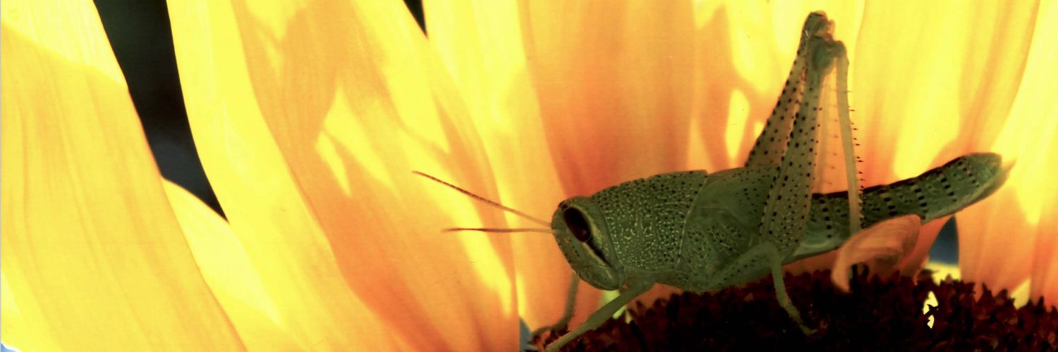 ButlerCountyKS's profile banner image