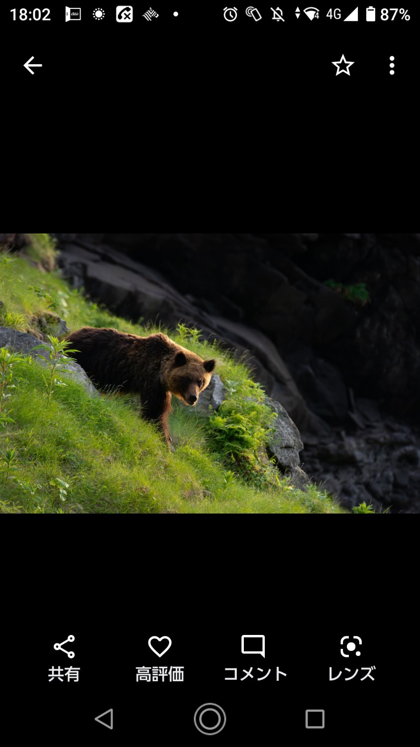 Wilderness_8's profile banner image