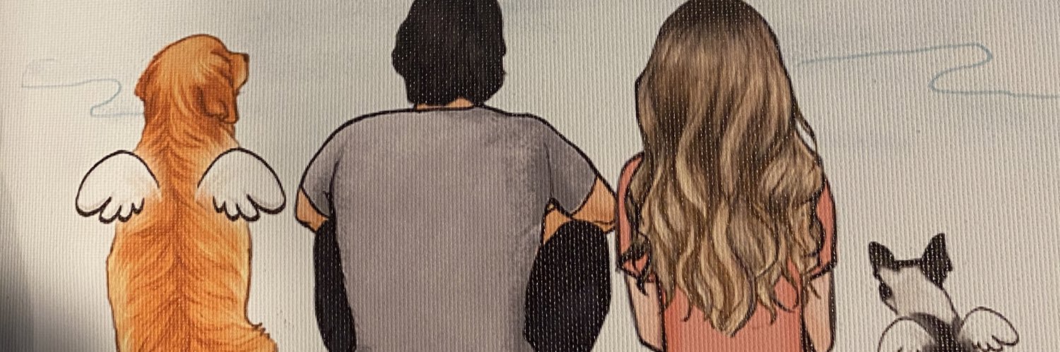 TomMckeeSB's profile banner image