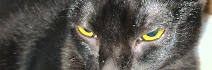4cnaib's profile banner image