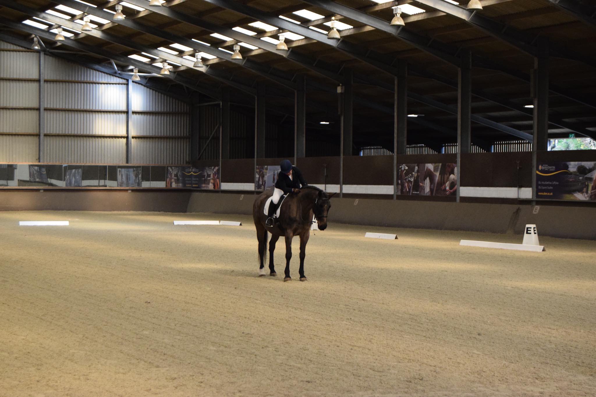 Chrissy Asplin banner