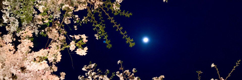 Bunny2nd's profile banner image
