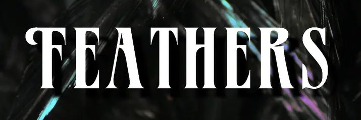 AngylWyld's profile banner image