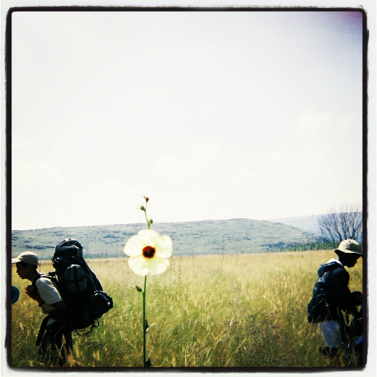 GuySawyer's profile banner image