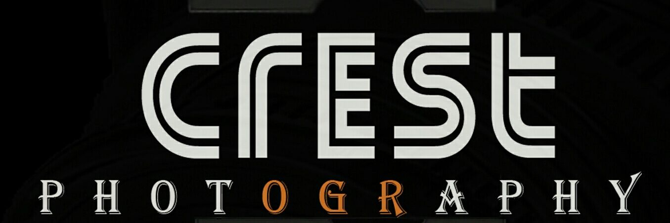 crestconcept's profile banner image