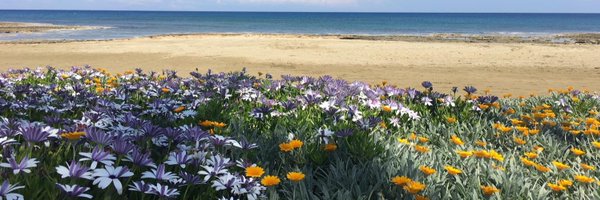 st_procopiou Profile Banner