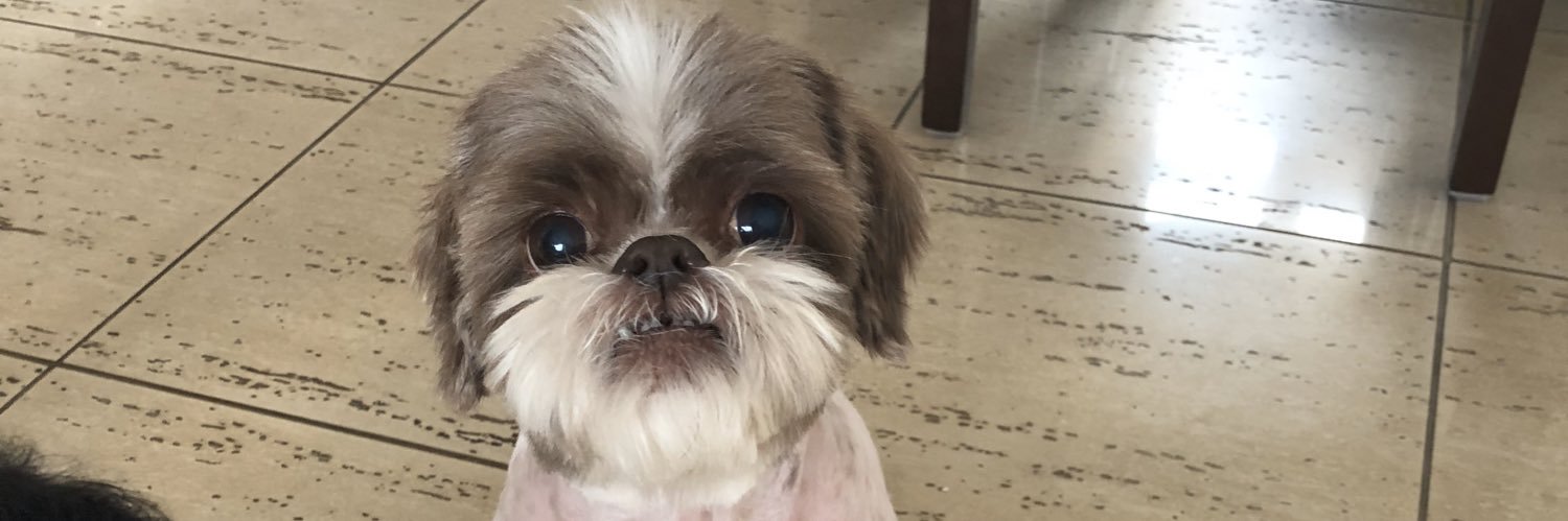 VanessaPeGo's profile banner image
