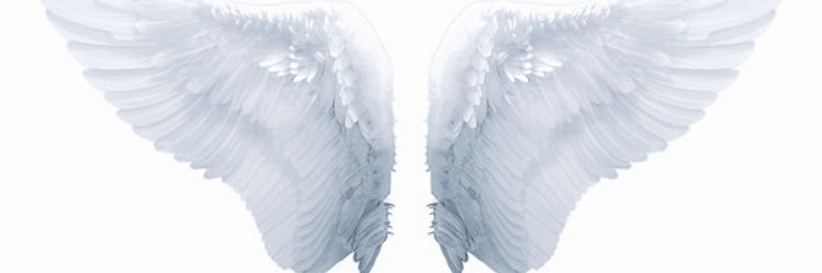 itsfijiworld's profile banner image