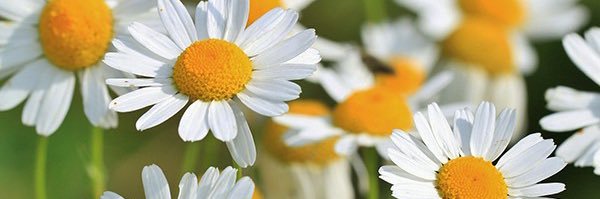 BButter_BT's profile banner image