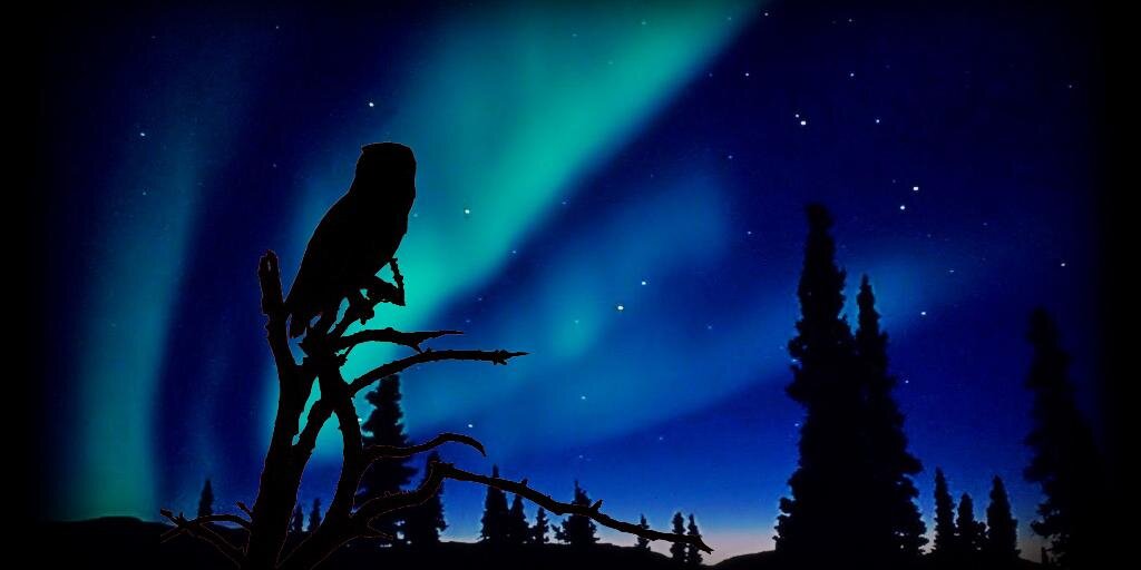 fabeilo's profile banner image