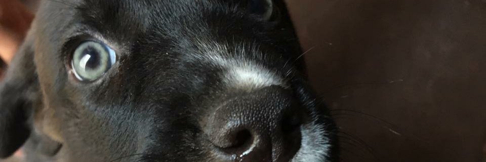 7abriel's profile banner image