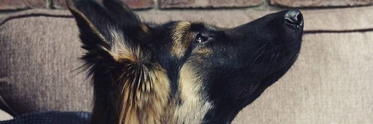JakeKG97's profile banner image
