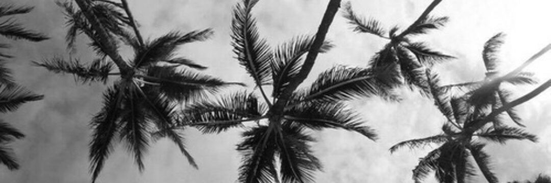 AliGlezEse's profile banner image