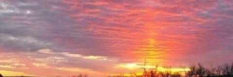 SammyRaeFitz's profile banner image