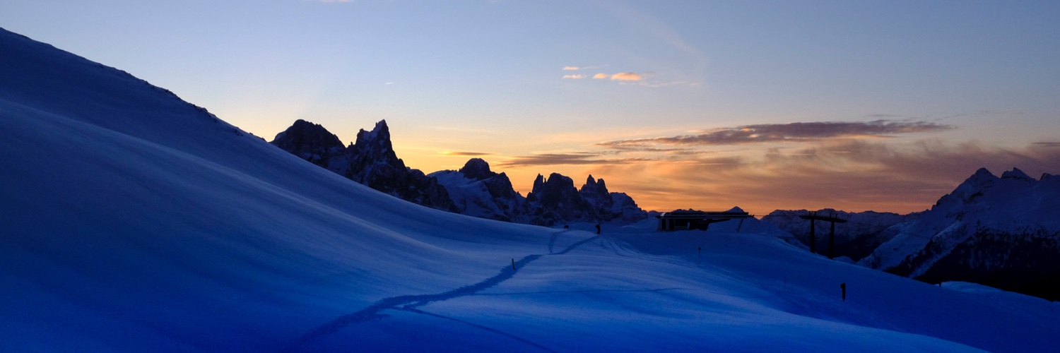 Sylvain Carle banner