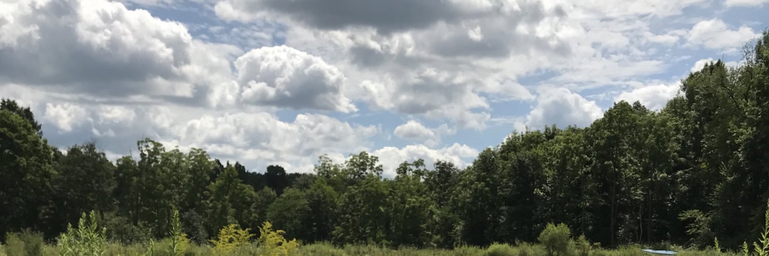 EllenSlater's profile banner image