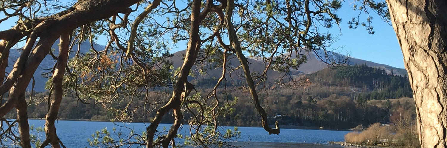 arrowsbane 🍄 banner