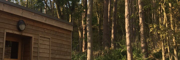sumayya121's profile banner image