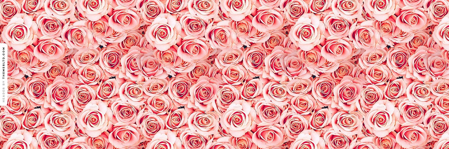 plantyzf's profile banner image