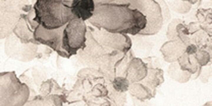 JessLewis93's profile banner image