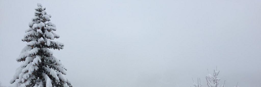ESoutter's profile banner image