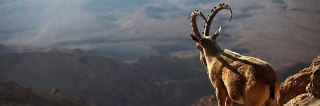 jcscbio's profile banner image