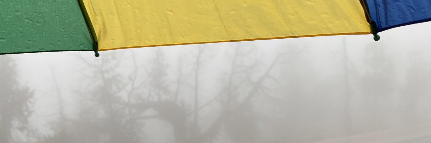 فَيننا ؟ banner