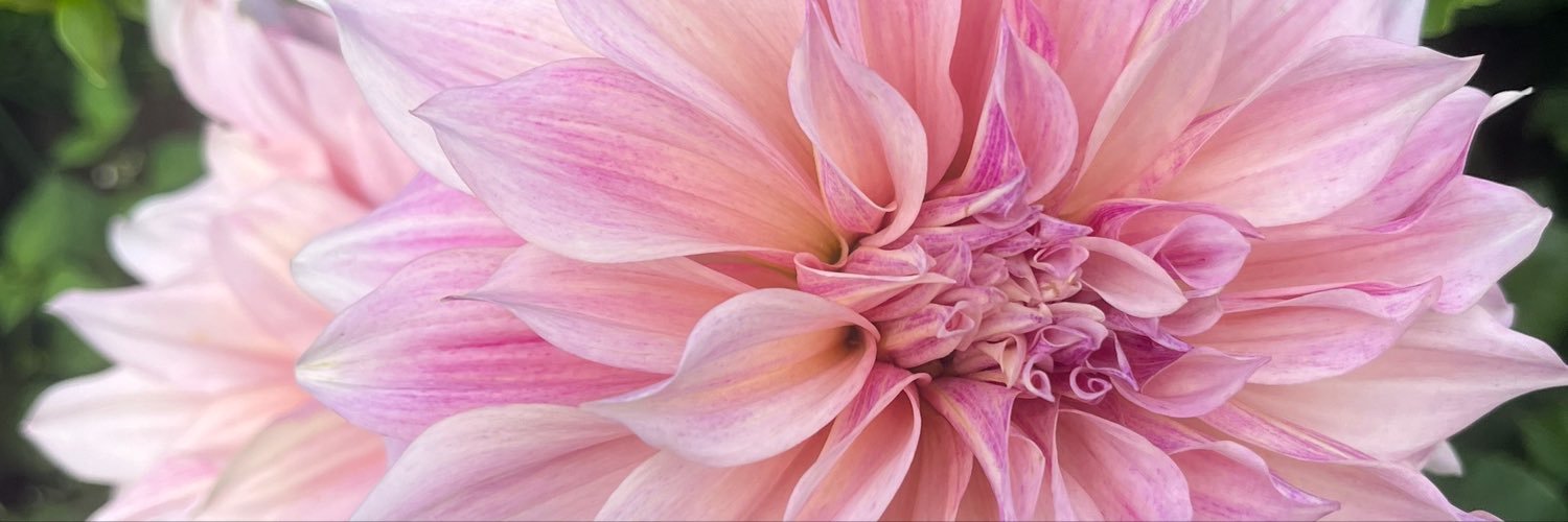 EJAnderson87's profile banner image