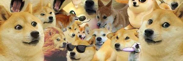 Alows's profile banner image