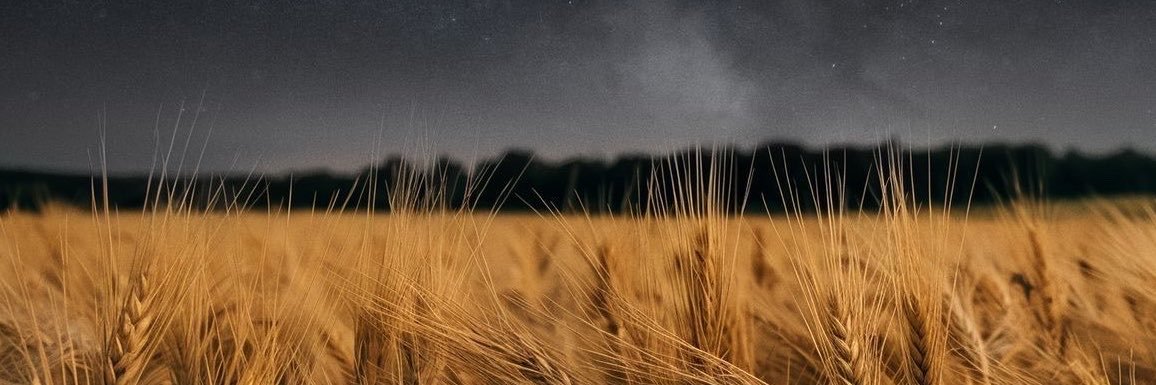 KriptoGang's profile banner image