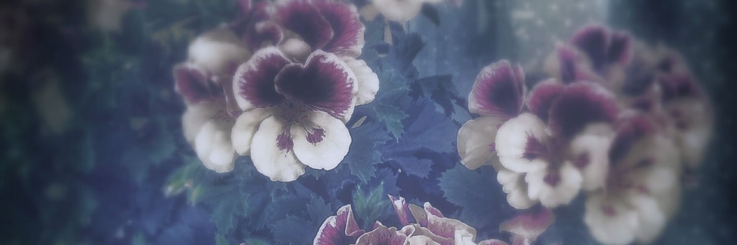 sulemolina's profile banner image