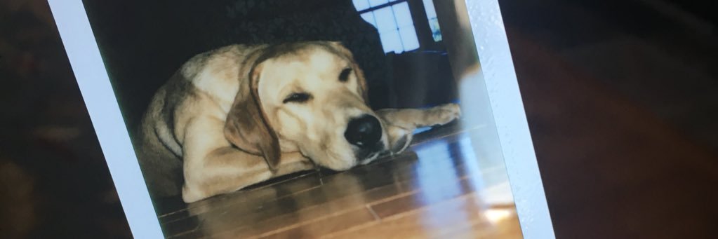 annakgreen3's profile banner image