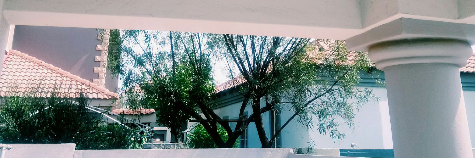 thereallebo's profile banner image