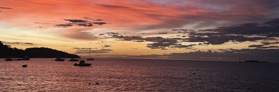 caiterin's profile banner image