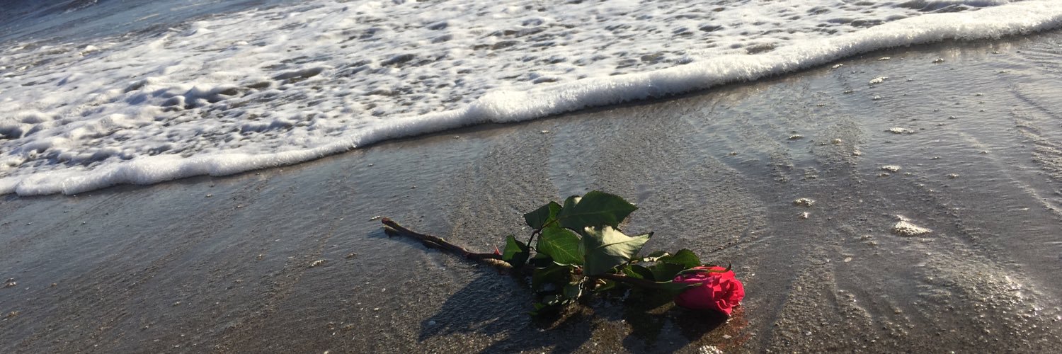 Sydboo23's profile banner image