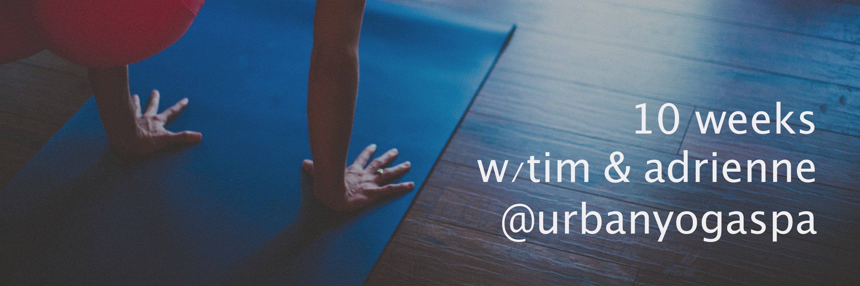 urbanleaf's profile banner image