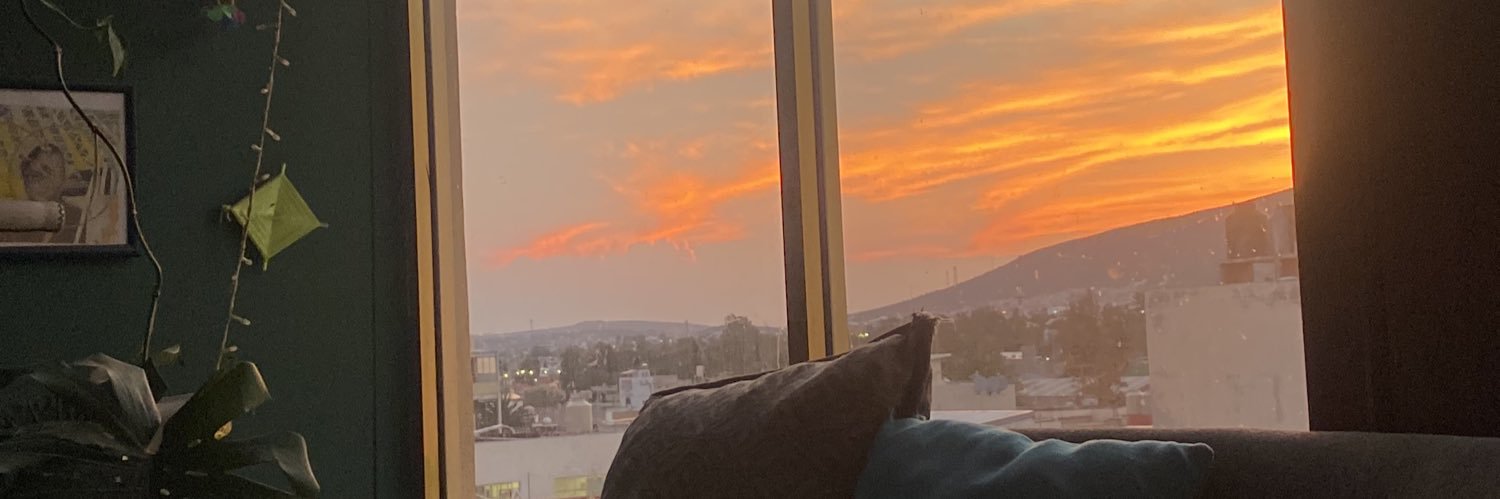 Lizeyde's profile banner image