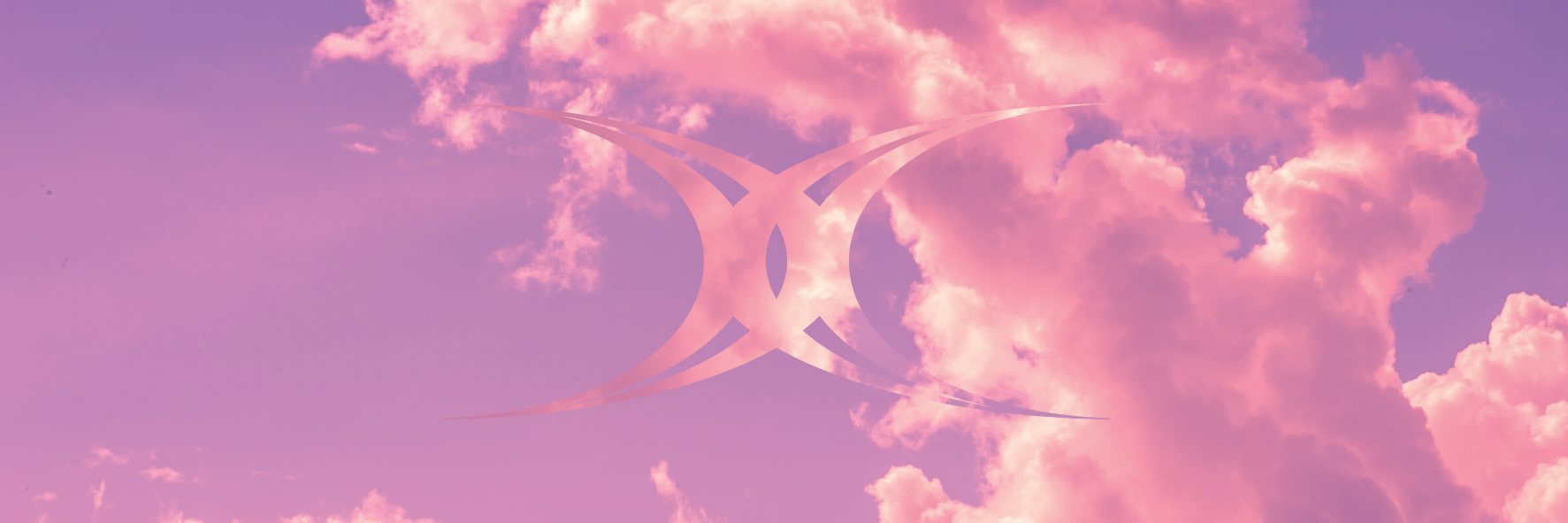 Gilbert Netball banner