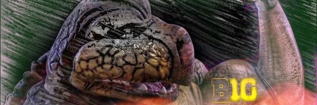 TerpVader's profile banner image