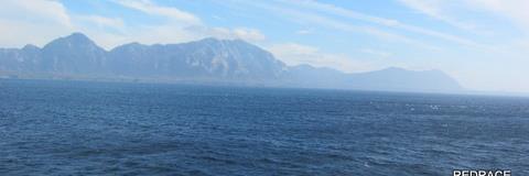 Diane LeDonne banner