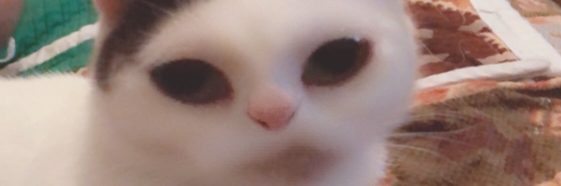 JustinEarley_'s profile banner image