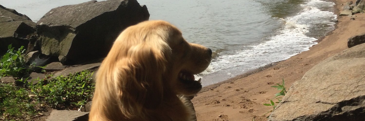 ChrisDgiants's profile banner image