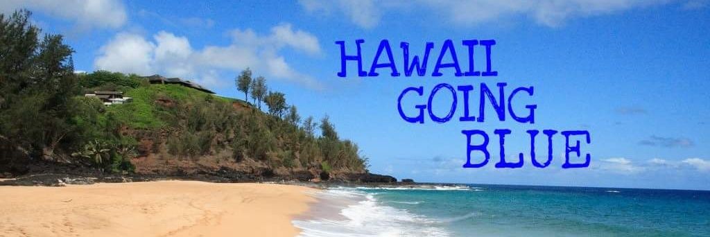 HawaiiGoingBlue's profile banner image
